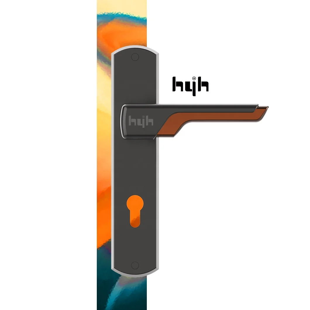 Guangdong-hyh hardware Hot Sale Euro Standard Zinc Alloy  Round Fancy European Nice Simple Design Function Door Handle