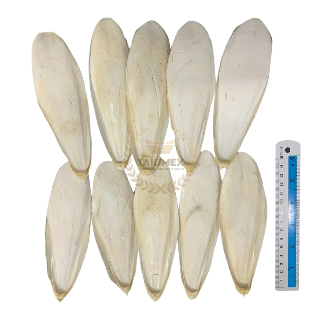 Cuttlefish bone for bird feed - Cuttle bone Reptiles food contain calcium good for pet health pack 1 piece per box for sale