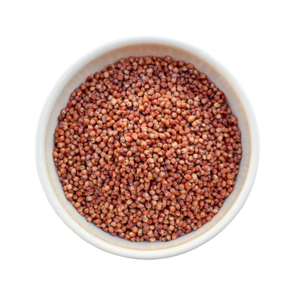 Wholesale Seeds Of Grain Sorghum Bulk Red and White Sorghum