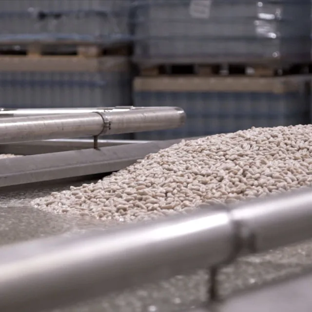 Top Tinned White Beans Made in Spain Extra Quality Gluten Free Canned Cooked White Butter Beans with Private Label 3kg