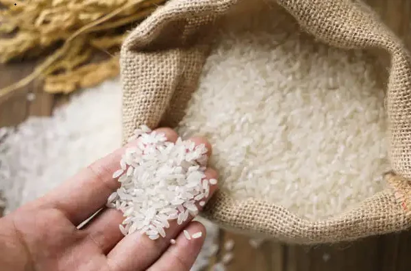 TOP SALE 2023: EXCELLENT QUALITY OF BROKEN RICE /100% WHITE BROKEN RICE MANUFACTURERS IN VIETNAM