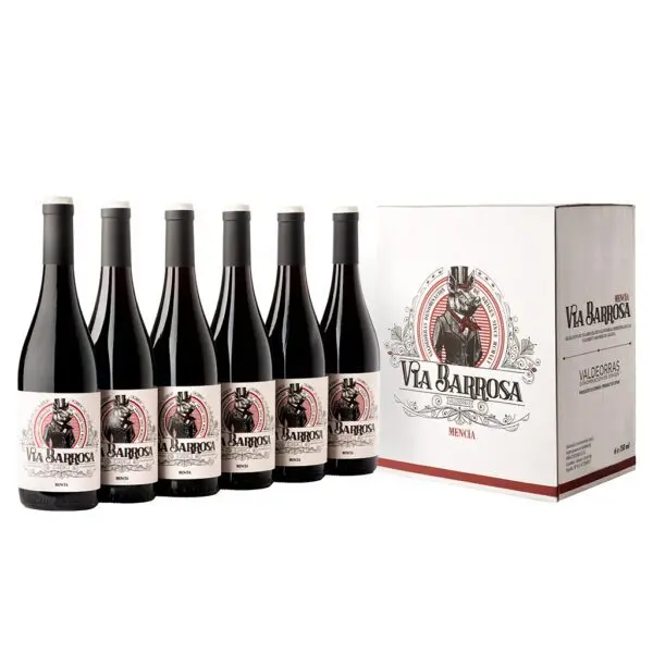 Red wine from Spain | Via Barrosa Mencia 2021 DO Valdeorras | Packaging 750ml glass bottle | Vina Costeira