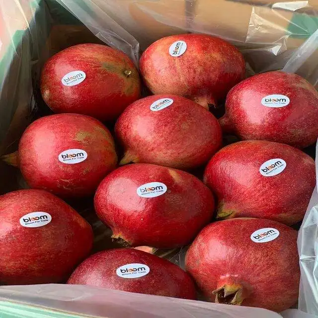 Supplier wholesale  new crop  pomegranate