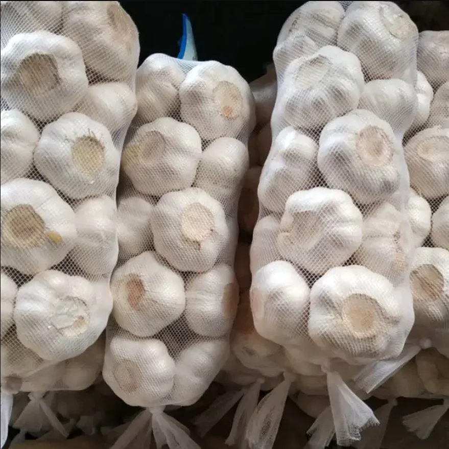 garlic3.png