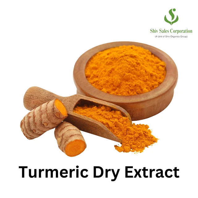 Turmeric Extract Curcuma Longa Extract Powder Best Price Supplement Turmeric Root Extract 95% Curcumin Powder Available for Sale