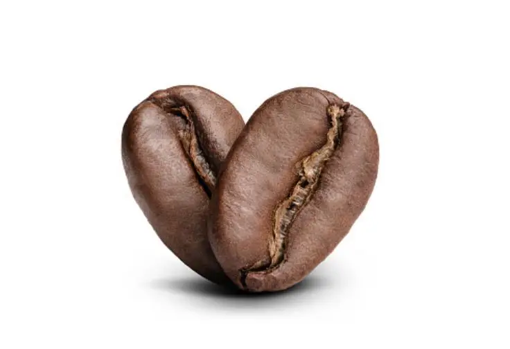 100% High Quality Export Oriented Cheap Price Hot Sale Coffee Beans Wholesale Arabica Coffee Beans Roasted From Indonesia