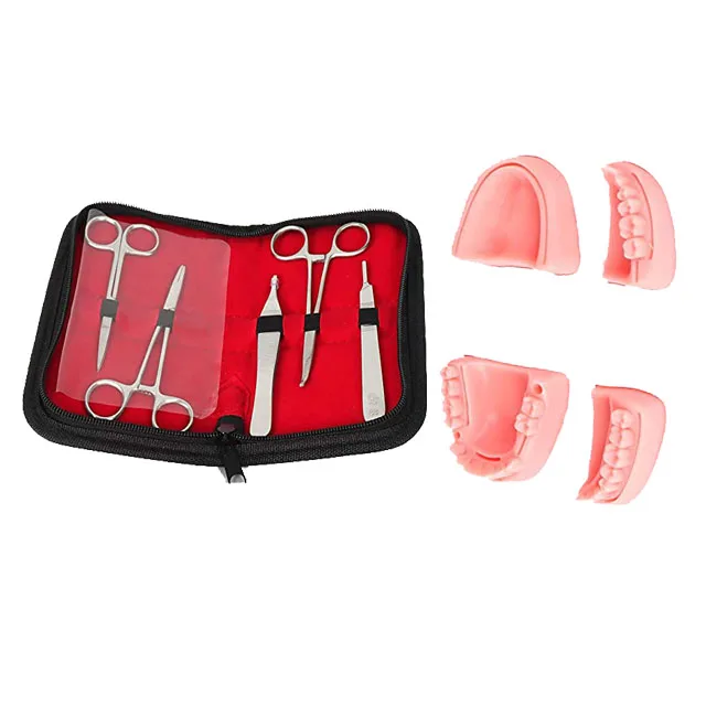 Surgical Suture Pad Practice Kit Skin Suture Pad Practice Module Suture Instruments Students Kit