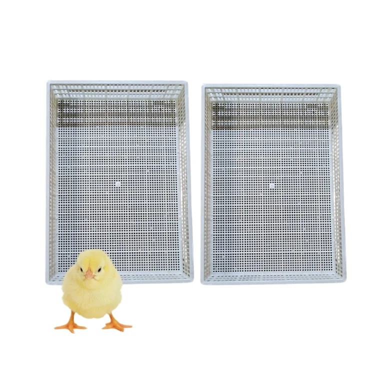 Plastic Slat Floor Roll High Quality Secure For Poultry Poultry Equipment Customization Made In Vietnam Manufacturer