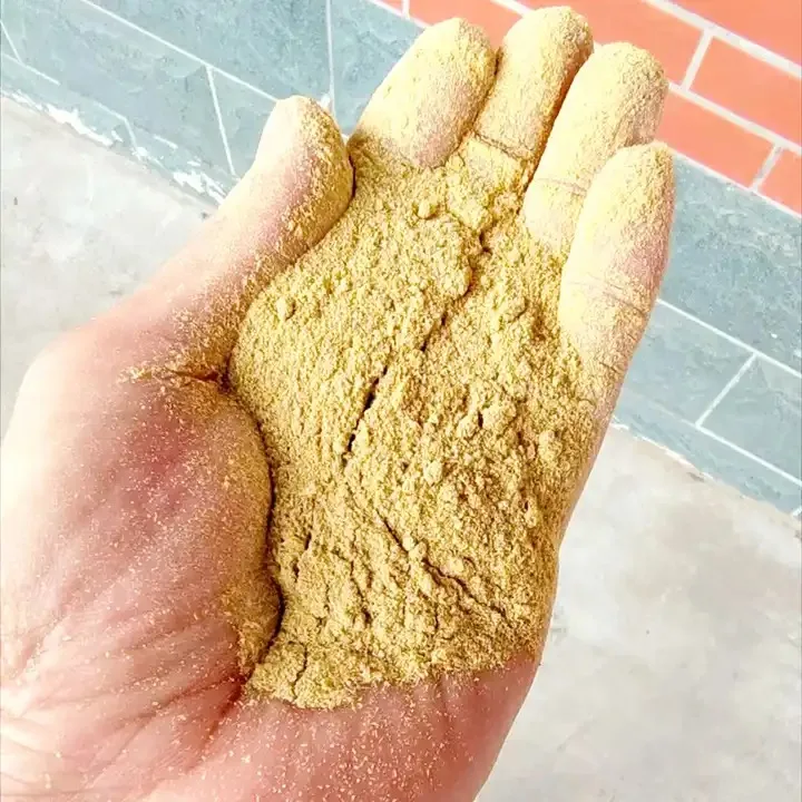 Soybean Meal, Yellow Corn for Animal Feed available