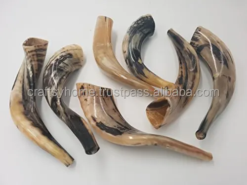 Wholesale Price Polished shofar Genuine Natural Ram Horn shofar for sale shofar kudu horn polished from India