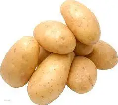 Fresh Potatoes High Nutritional Value of Agricultural Products Organic Crops from Bangladesh Fresh and Healthy Green from BD
