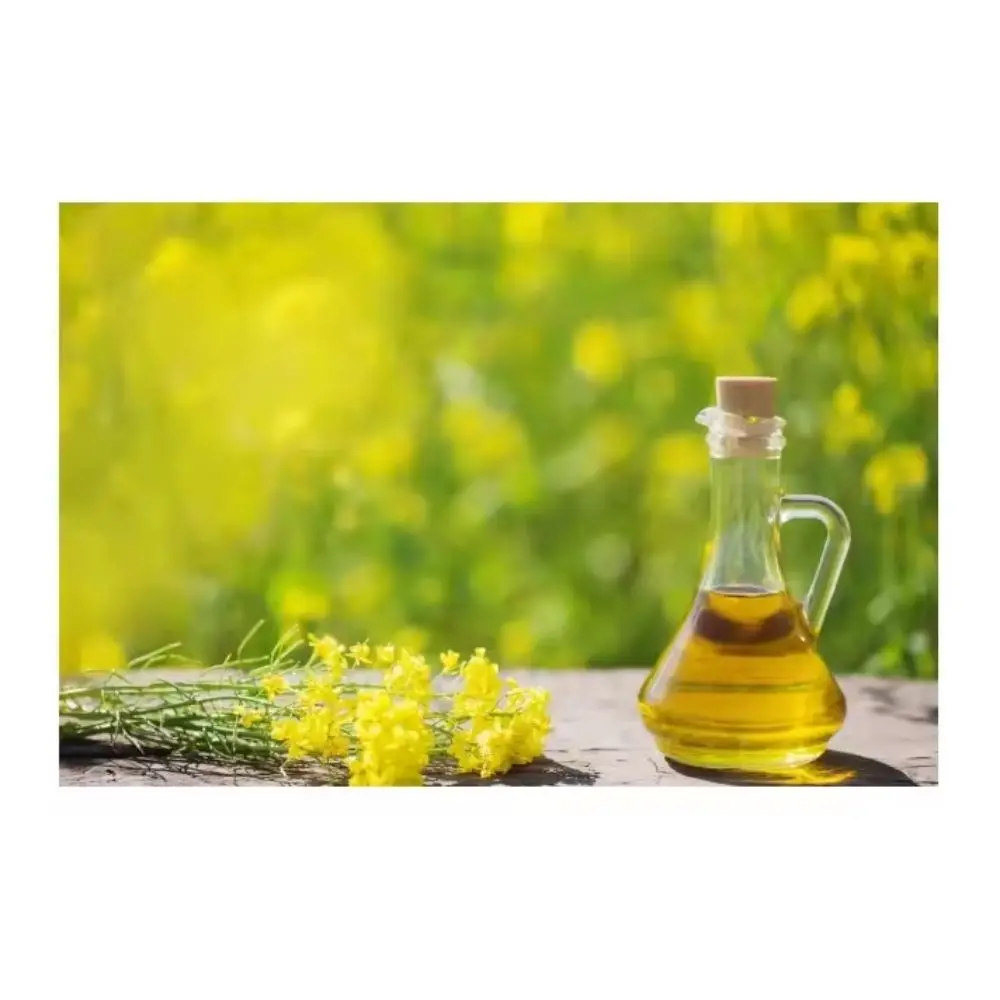 High Quality canola seed high oleic canola oil organic canola good for cholesterol  Rapeseed Oil Bulk For Cooking