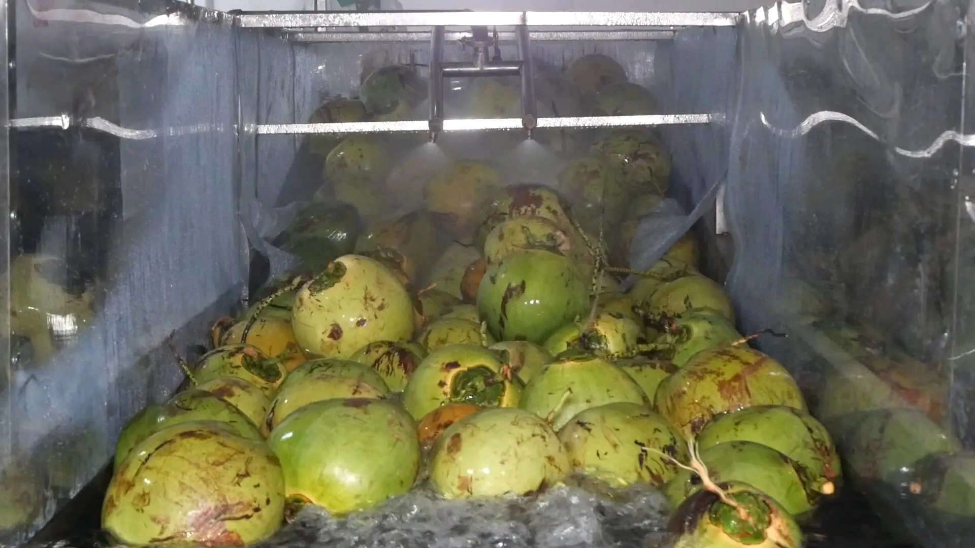 Coconut Milk hot sale 400ml Can Tin VINUT Coconut milk with 20-22% Fat Wholesale Price By VINUT Supplier