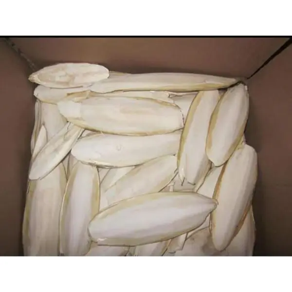 Fresh Cuttlebone Available From Pakistan