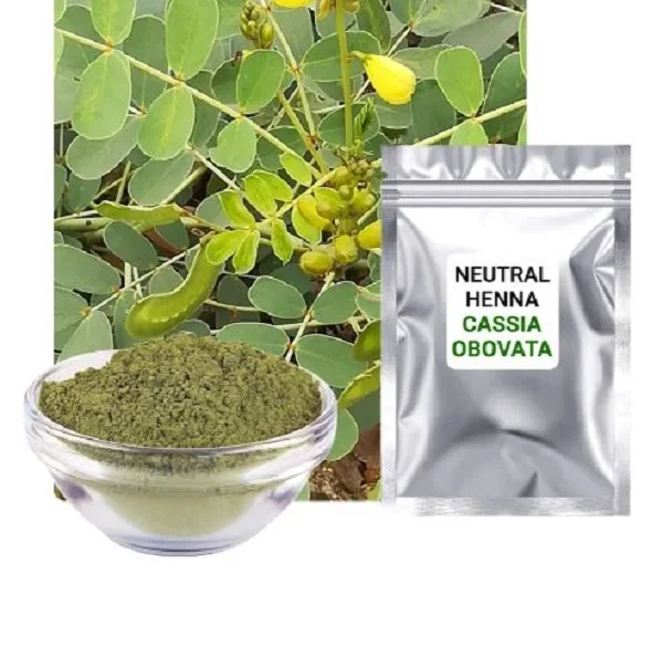 Natura Cassia Obovata по оптовой цене