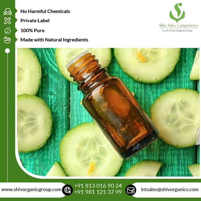 Leading Supplier of Top Quality Hot Selling Cosmetic Grade 100% Pure and Natural Cold Pressed Cucumber Seed Carrier Oil