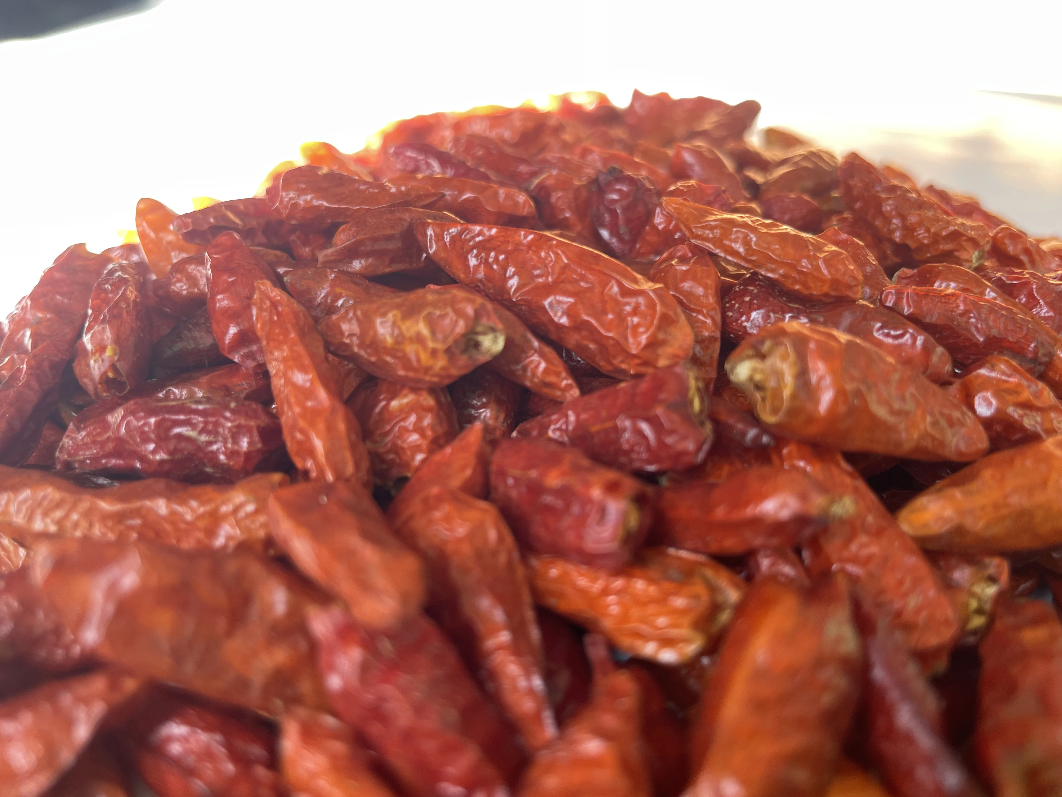 Hot Red Dried Chili Peppers Freshly Dried for Traditional Asian Cooking Box and Bag Packaging for Soups and Curry