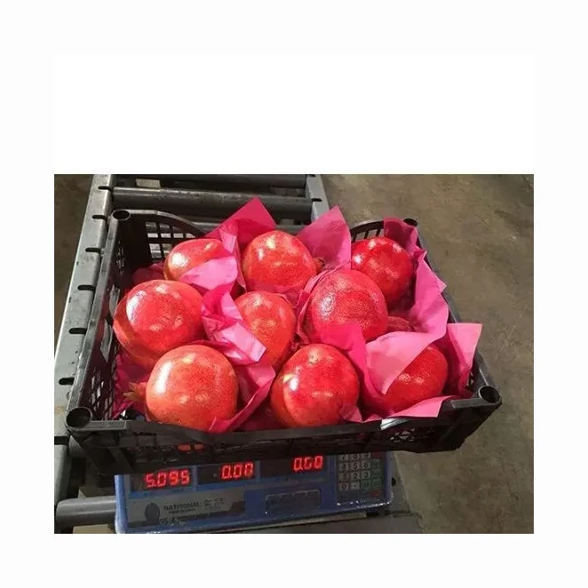 By Air Fast Shipping Fresh Pomegranates Fruit / Pomegranate fruit Other Fruits available in Brazil