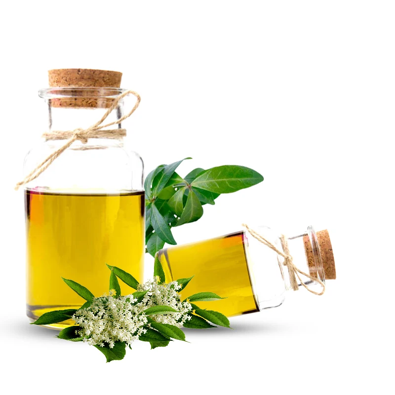 Top Quality myrtle essential oil Hot Selling Natural Organic myrtle pure oil myrtus communis Bulk Supplier in India