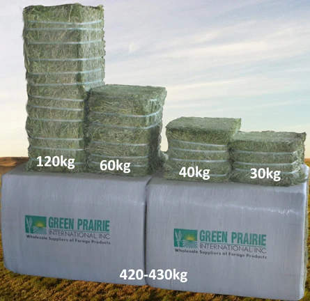 Wholesale Alfalfa Hay Bales Exporters and Suppliers Best Quality Clover Fresh Green Lucern Pellets for