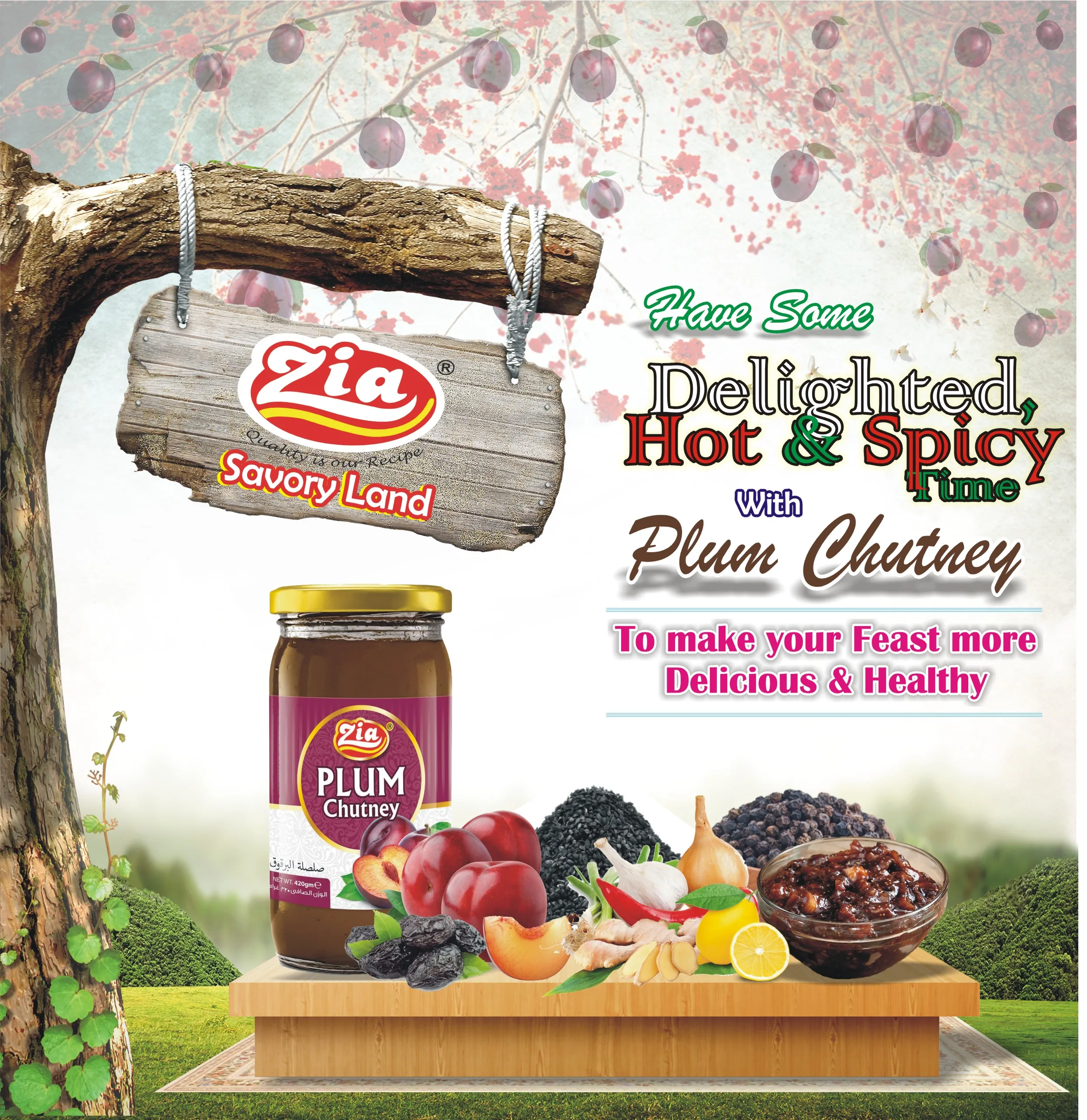 Best Appetizer Food Zia Plum Sauce Healthy & Nutritious Your Perfect Meal Partner Super Quality Plum Sauce Chutney