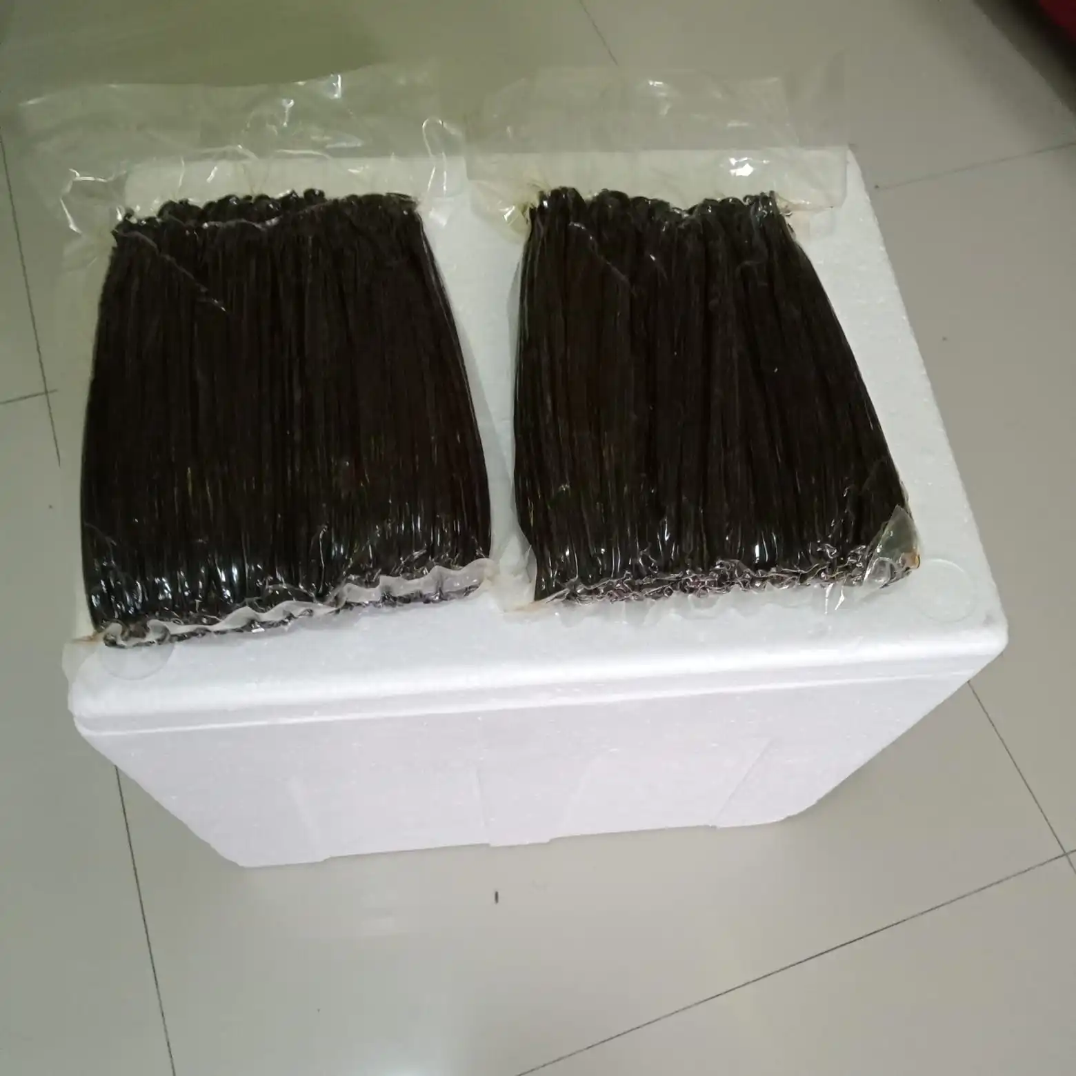 Vanilla Bean Planifolia 18-20 CM Top Selling Premium Indonesia Supplier