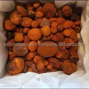 Ox-Cow-Gallstones9.jpg