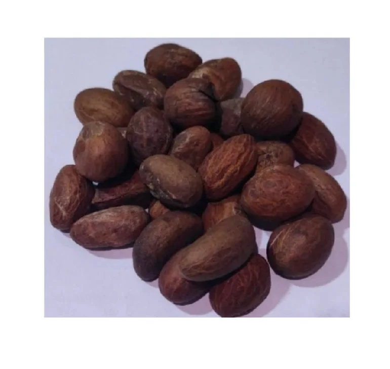 kolanut) Bitter kola,garcinia kola-bitter kola,kola nut bitter/African Bitter kola