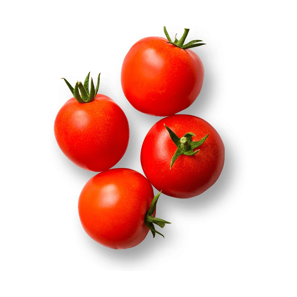 Natural Healthy And Clean Agriculture Vegetables High Grade Viet Gap Standard Red Tomatoes with good logistic services