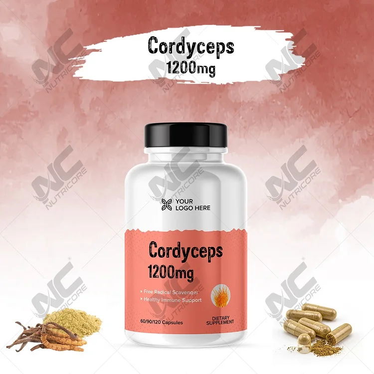 Excellent Quality Wholesale Healthcare and Dietary Supplements Top Selling Natural Cordyceps Capsules Suppliers