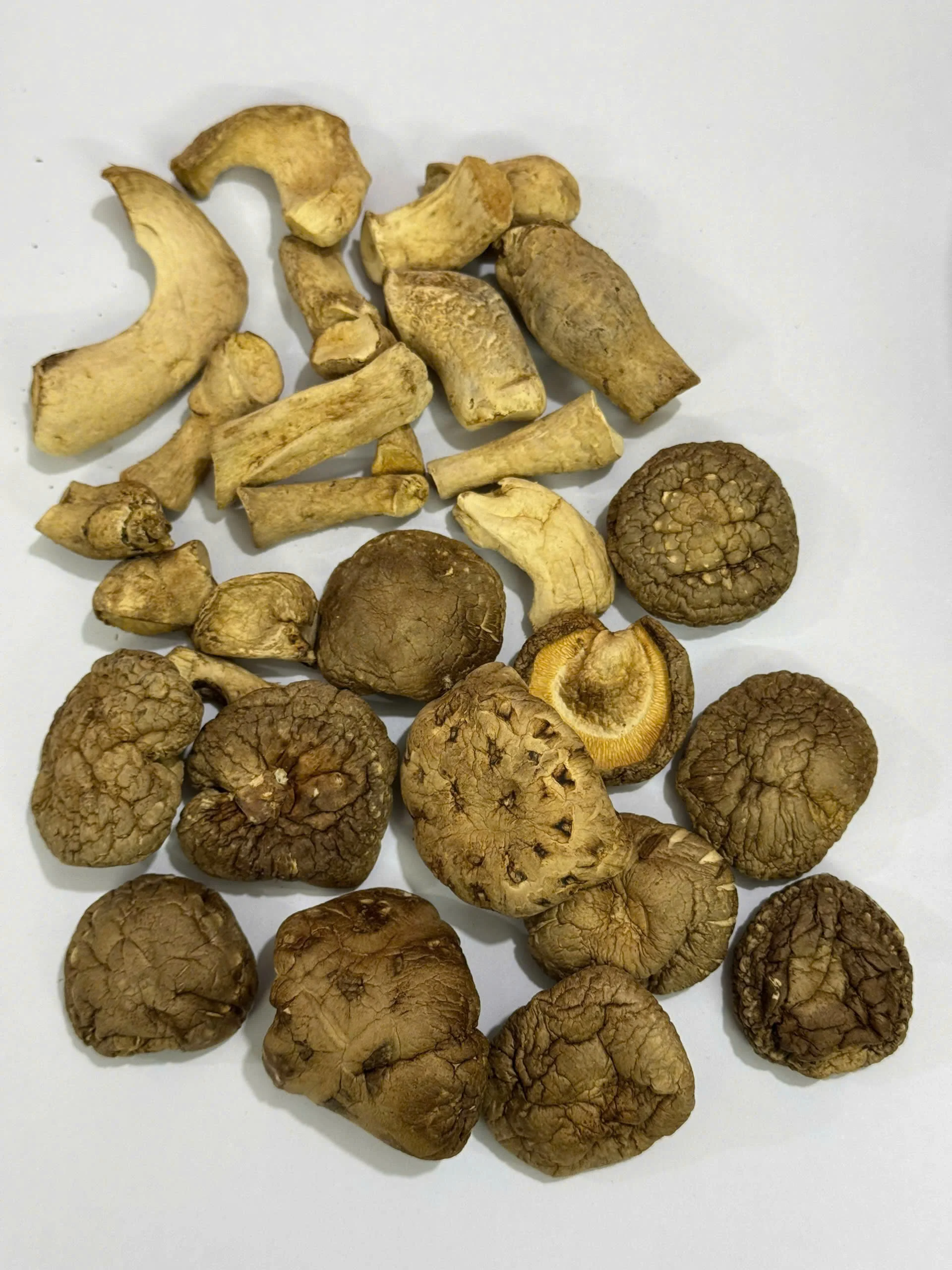 DELICATE and EARTHY SHIITAKE MUSHROOMS / ORGANIC CHOICE / GREAT VALUE / MADE in VIETNAM