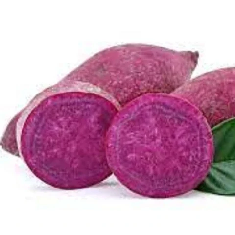 Cheap Price Purple Sweet Potato Thailand / Fresh Purple Sweet Potato