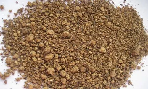 Best Market Price  In Bulk 100% Pure & Nutrition Rape seeds oil cake best animal feed  Buy From Indian Manufacturer