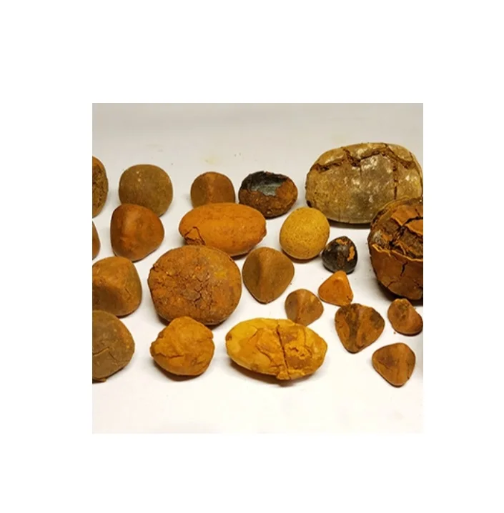 Best Quality Low Price Bulk Stock Available Of Cow Gallstone / Natural Bezoar (Gallstone) For Export World Wide From Germany