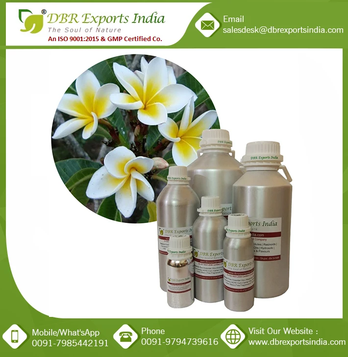 Frangipani Oil #1 at wholesale price Bulk supplier of Frangipani Oil #1 Exporter of Frangipani Oil #1