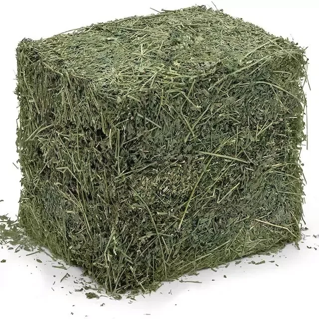 High Quality Non-GMO Alfafa Hay for Animal Feeding Alfalfa /Rodent Hay  for sale