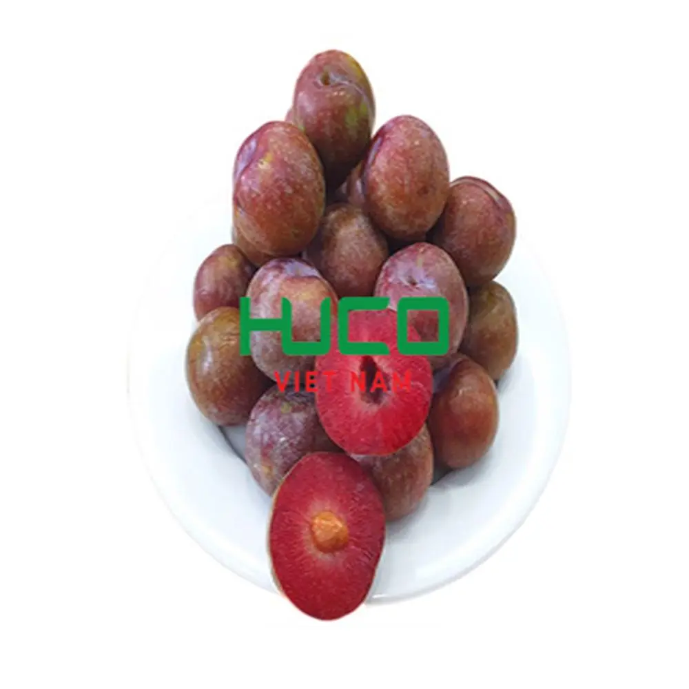 Fresh Juicy Red Plums Tasty Delicious High Quality Sweet Plum Premium Grade 100% Natural