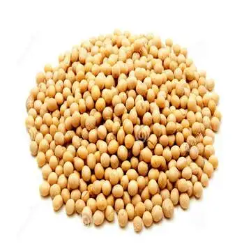 Organic Dried Yellow Soybeans and Soya Beans for sale