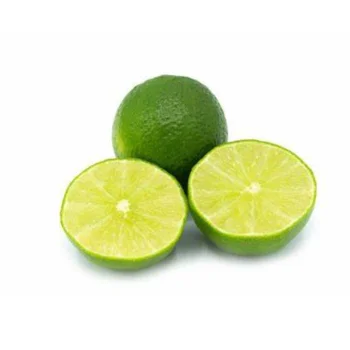 SEEDLESS LIME Made In Vietnam Fresh Lemon Good For Health Farm Price Organic Wholesale 2023