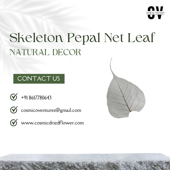 High Quality Wholesale Natural Skeleton Pepal Net Leaf for Dried Flower Arrangement DIY Craft