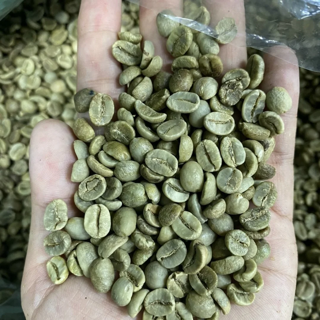 Agriculture Ready To Ship Wholesale High Quality Organic 100% Roasted Arabica Coffee Beans With 24 months From Vietnam