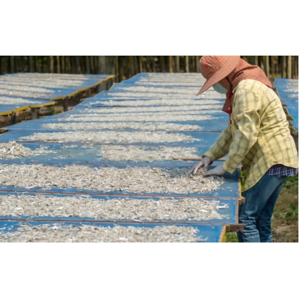 100% natural fresh anchovies Ingredients Sundry Bulk Dried Seafood Dried Salted Anchovies dry Anchovy