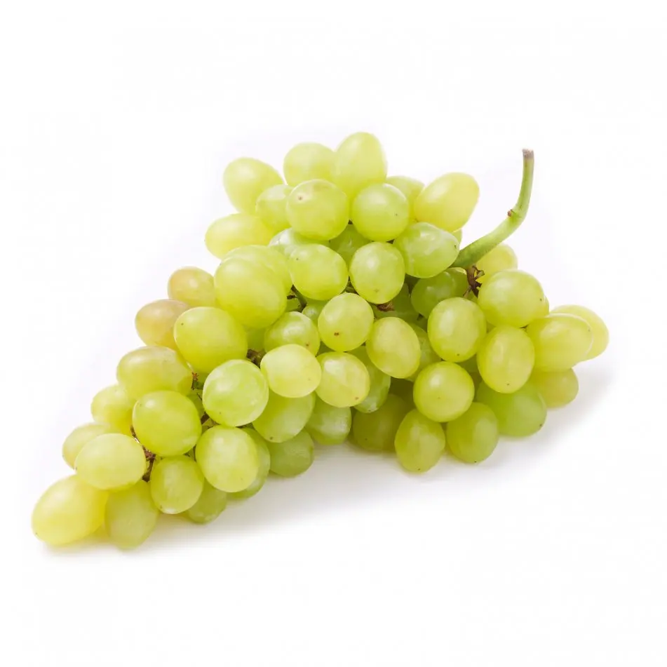 Fresh Grapes At Wholesale Prices For Export