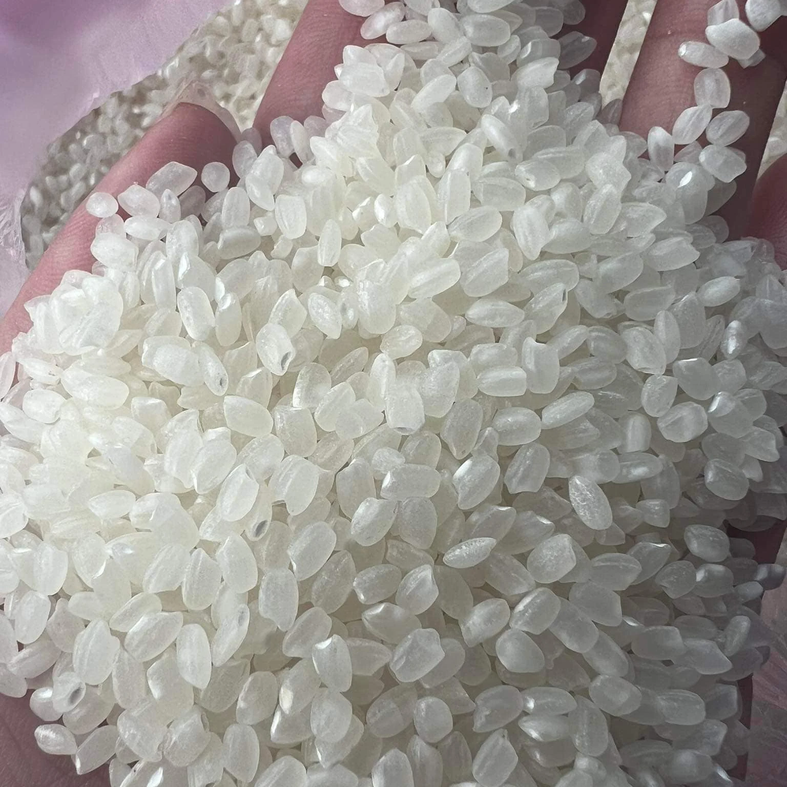 Wholesales Viet Nam Japonica rice Sushi rice At Factory US EU export standard quality  / Ashley +84-857622959 ( WhatsApp/Viber)
