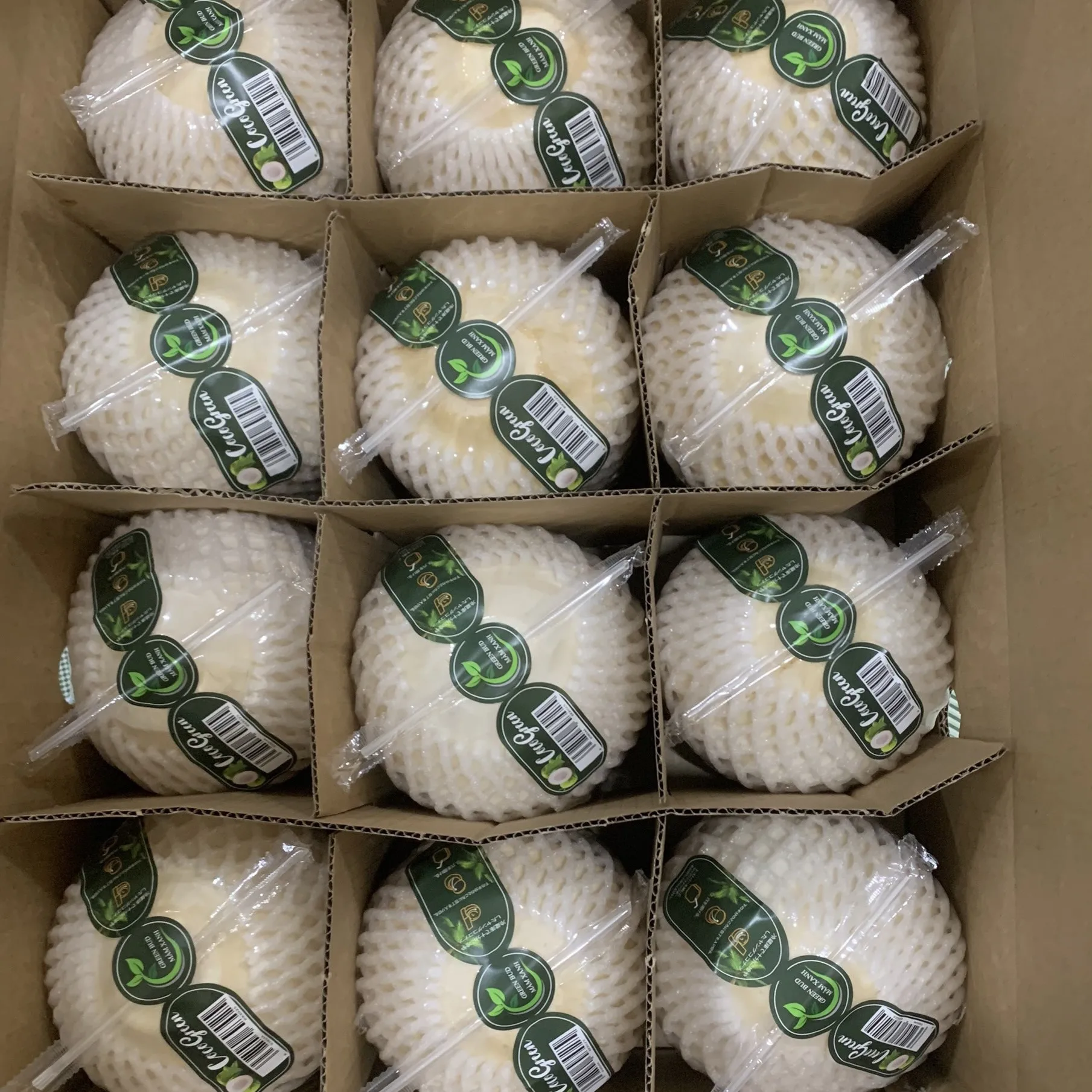 Wholesale High Quality Cheap Price FRESH YOUNG COCONUT From Viet Nam