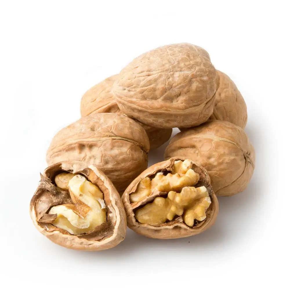 Highest Grade Organic Raw Walnuts with Shell Walnut Kernels Natural Healthy High Quality Dried Bulk Supply