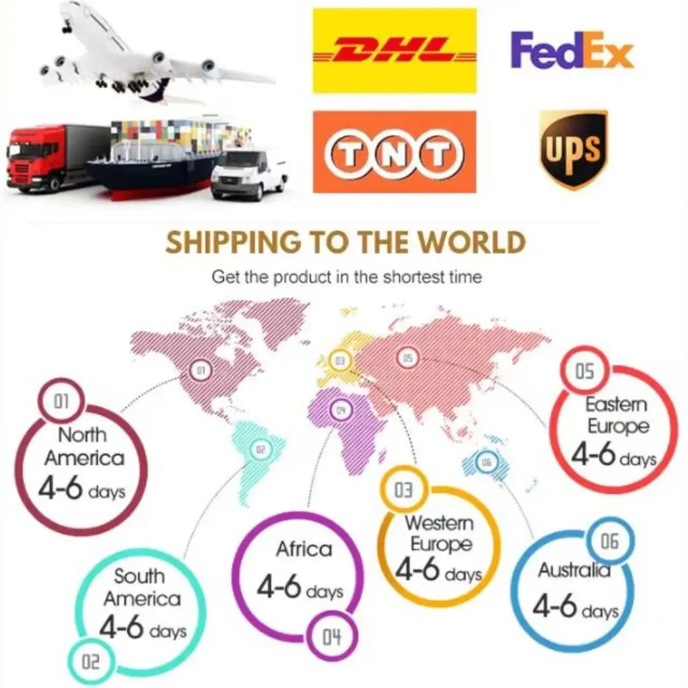 Jute Bag Bulk Order OEM Premium Robusta Coffee Beans from Viet Nam Bag Rich Aroma Fruity Acidity Caramel Mellow Taste