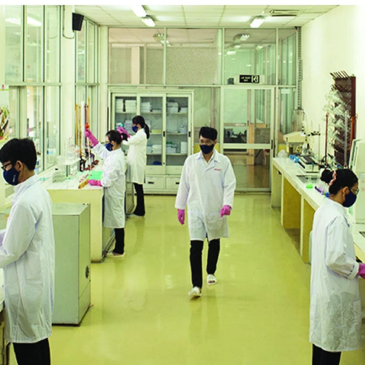 Condensed molases solubles (CMS)-GEL for shrimps and aquaculture feed