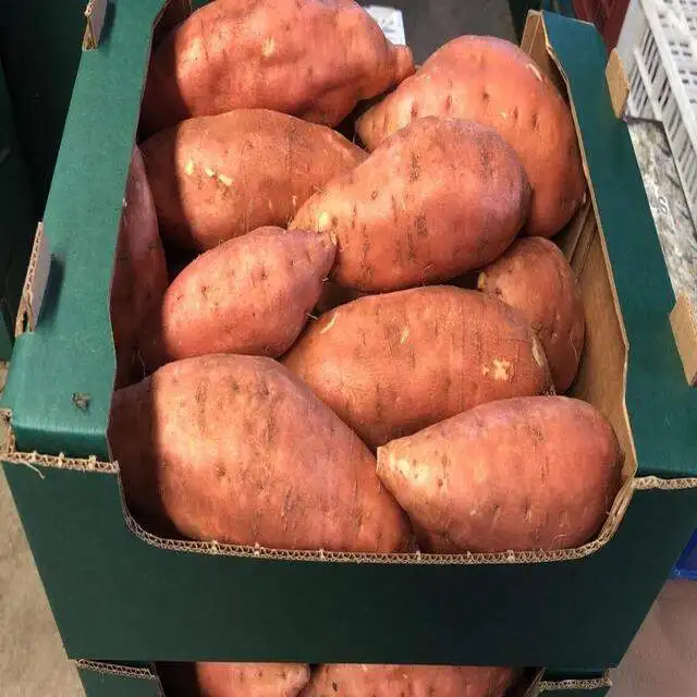Свежий