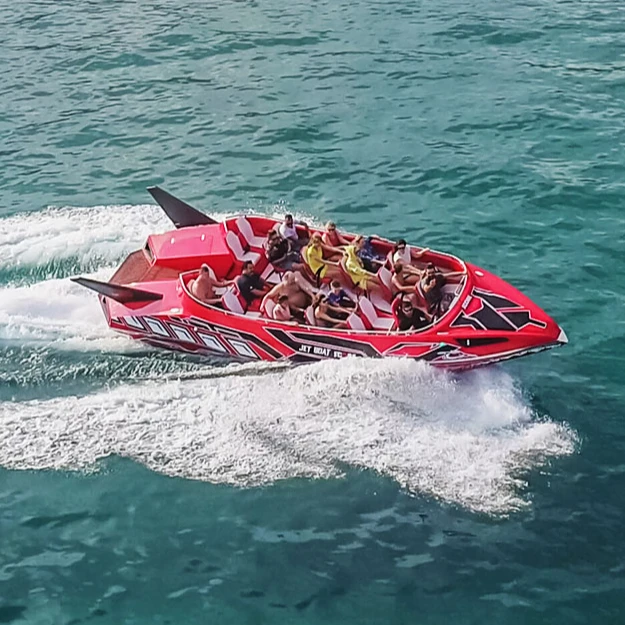 Alesta Marine Luxury Commercial Jet Boat GREEN New Fiber Glass Entertainment Speed Boat Best Quality White Ocean Sea Lake River